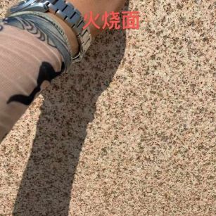 三明黄金麻火烧面