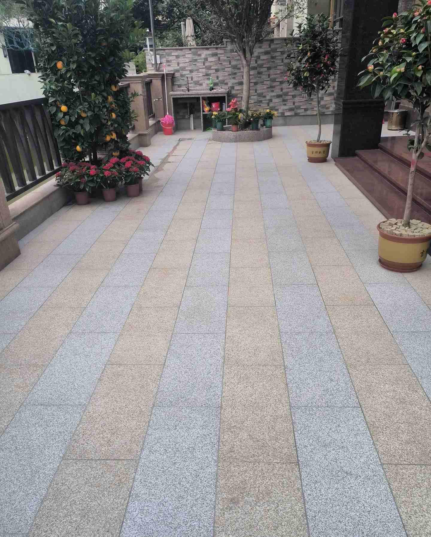 三明 黄金麻白麻荔枝面庭院铺装展示